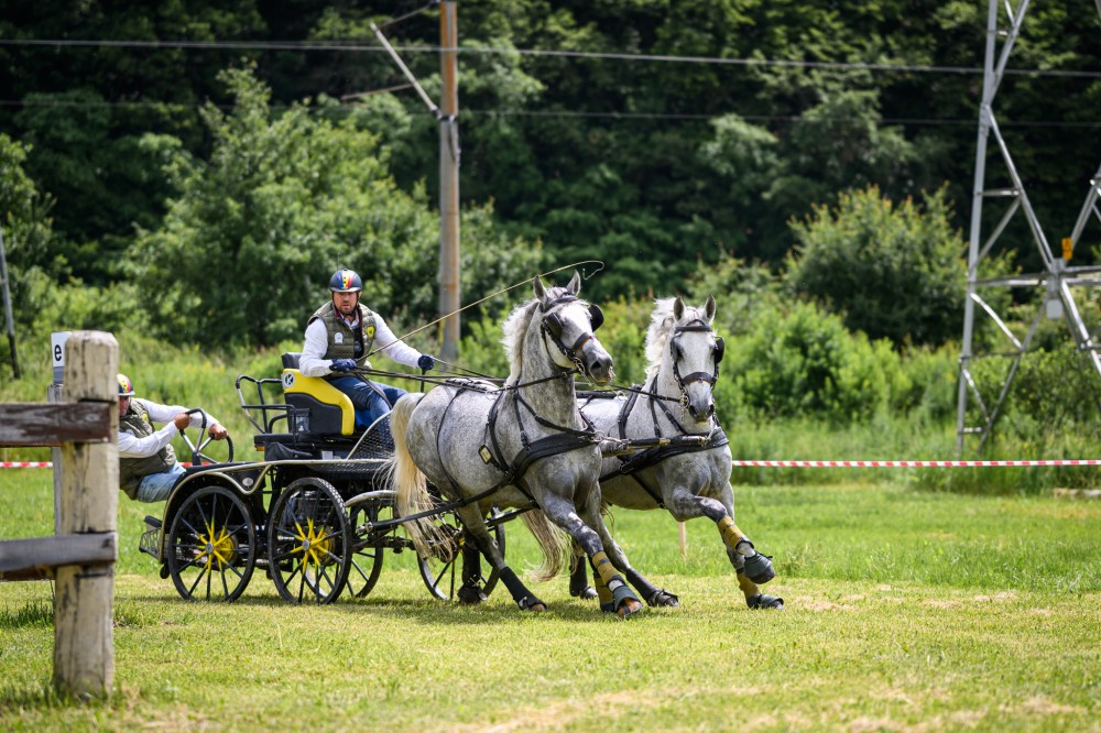 Concursul de atelaje de la Olteni și-a desemnat câștigătorul: Bartha Eduárd 